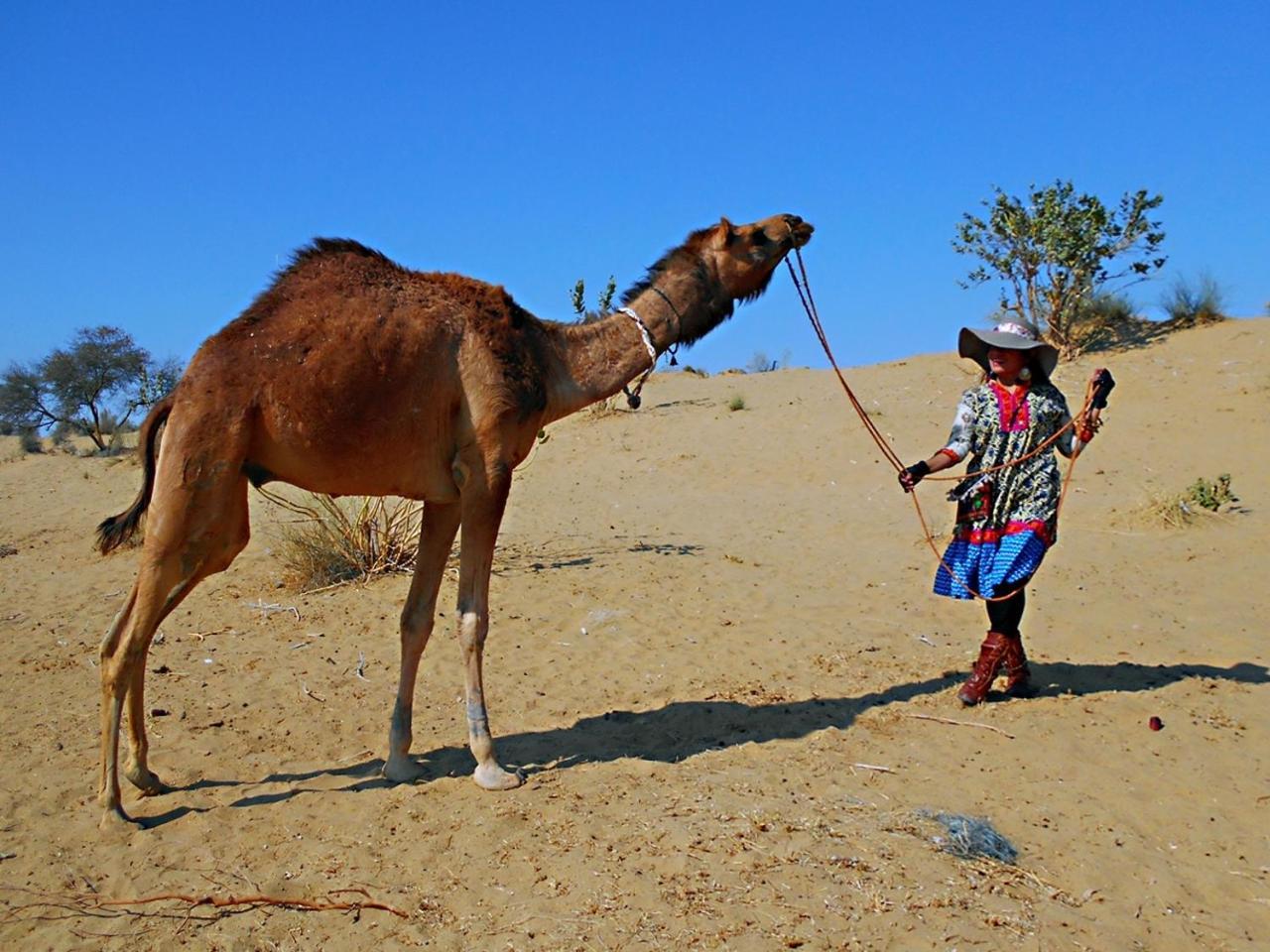 Blessing Hotel Jaisalmer Exterior foto